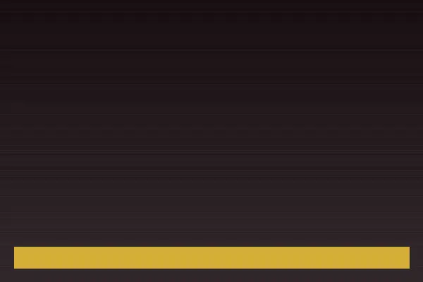 麻豆传媒新片全球首映礼